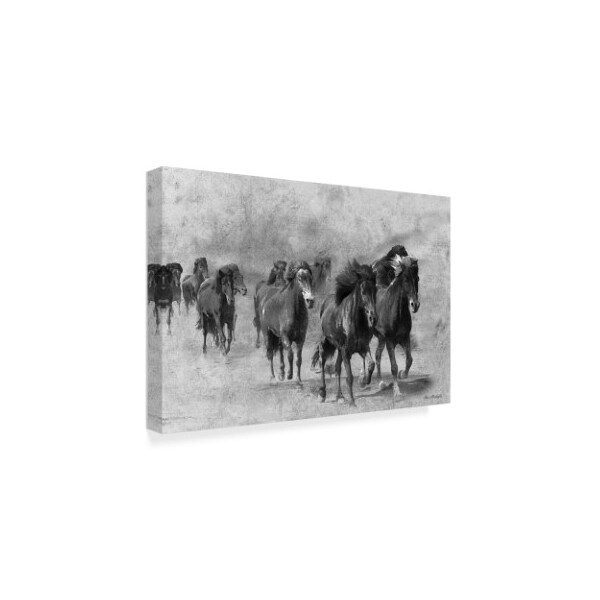 Ata Alishahi 'Wild Horses 2' Canvas Art,22x32